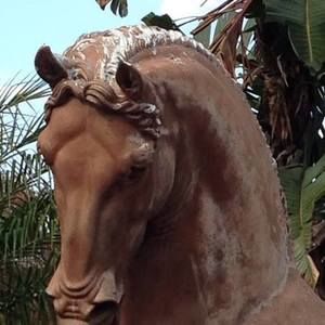 Meet your Posher, Sally